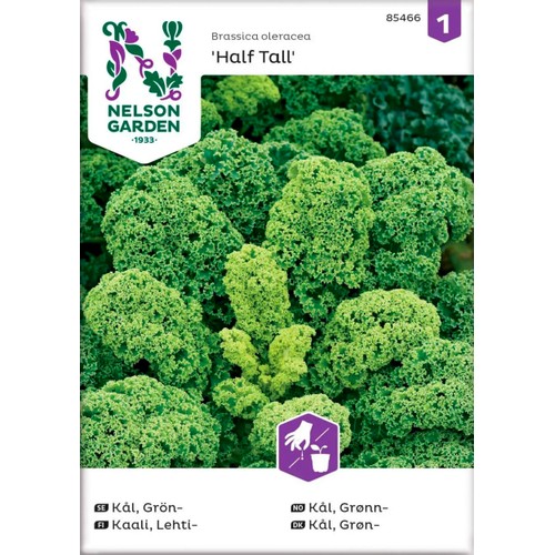 Grönkål Half Tall 1-p Nelson Garden