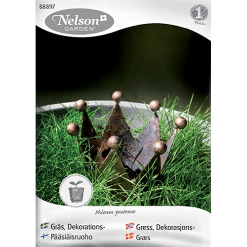 Dekorationsgräs Nelson Garden