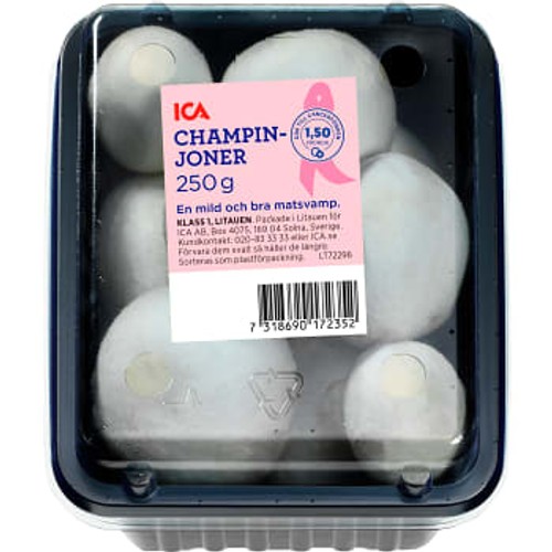 Champinjon 250g ICA