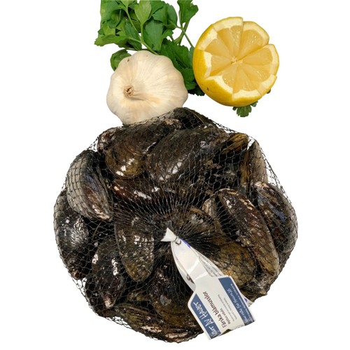Blåmusslor