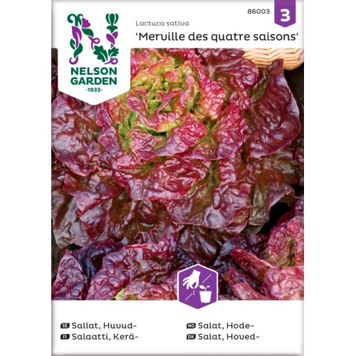 Sallat Huvud Merville 1-p Nelson Garden