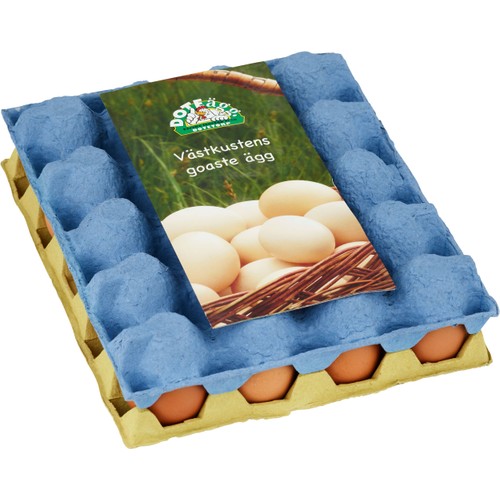Ägg Inplastad 20-pack ML 1060g Doteägg