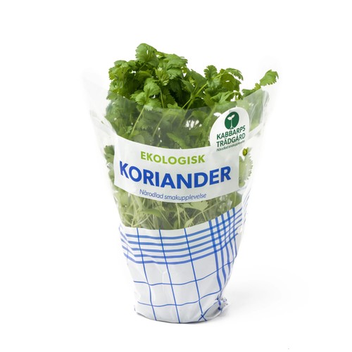 Koriander Ekologisk 1-p Kabbarps Trädgård