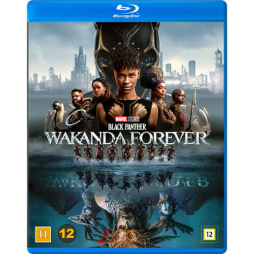 Bd Black Panther: Wakanda forever SF