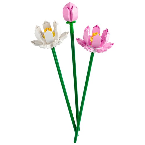 LEGO Botanicals Lotusblommor 40647