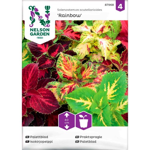 Palettblad Rainbow Blandade färger 1-p Nelson Garden