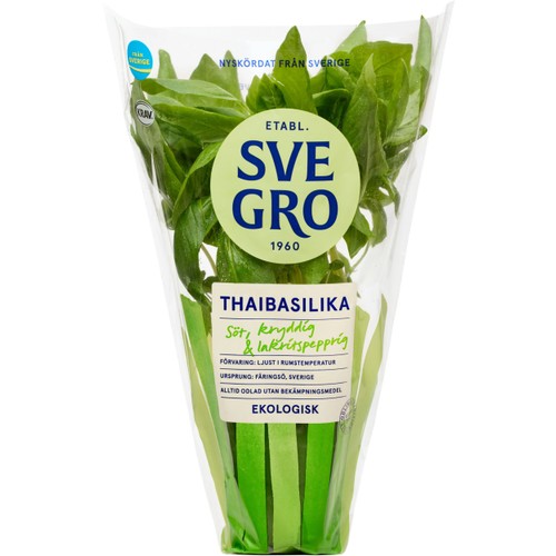 Thaibasilika i kruka Ekologisk 1-p KRAV Svegro
