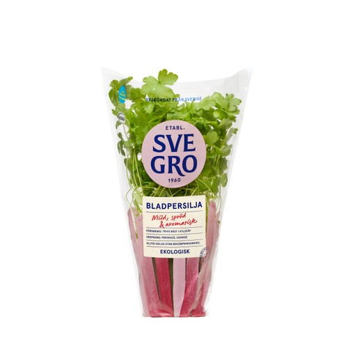Bladpersilja i kruka Ekologisk 1-p KRAV Svegro