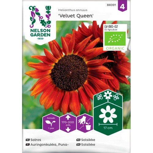 Solros Velvet Queen Organic 1-p Nelson Garden