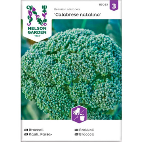 Broccoli Calabrese Natalino 1-p Nelson Garden