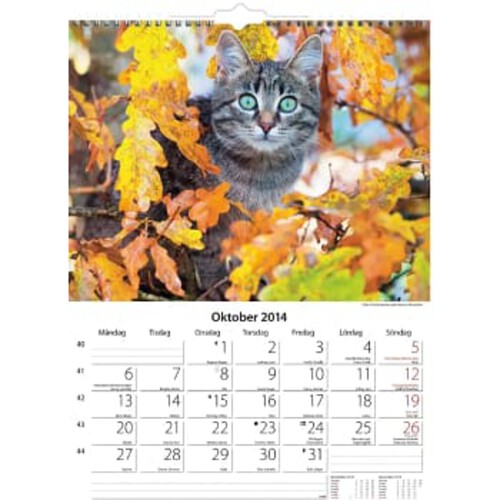 Väggkalender katter 2024