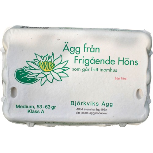 Ägg 15-p Frigående 15st Björkviks Ägg