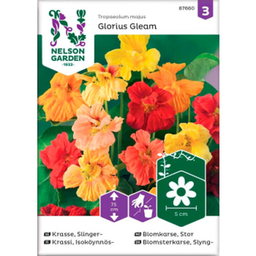 Krasse Slinger Glorius Gleam 1-p Nelson Garden