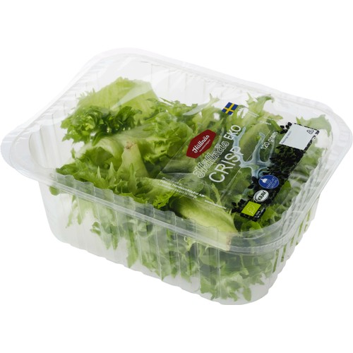 Sallad EKO Crisp 120g Hällnäs Handelsträdgård