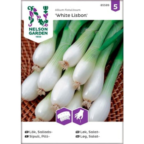 Lök Sallads White Lisbon 1-p Nelson Garden