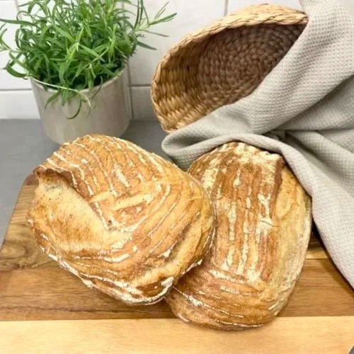 Piccolino, levain