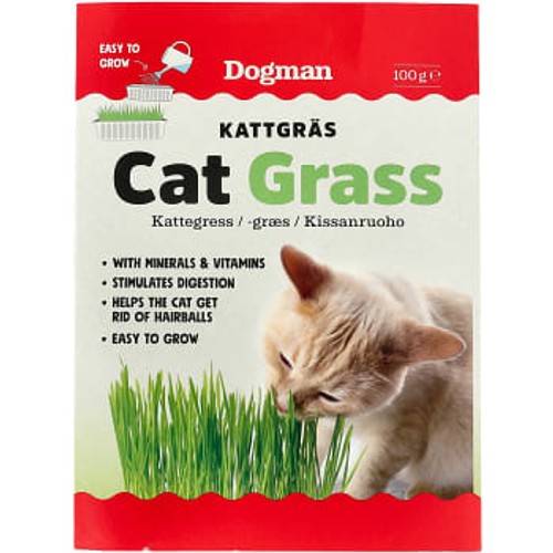 Kattgräs 100g Dogman