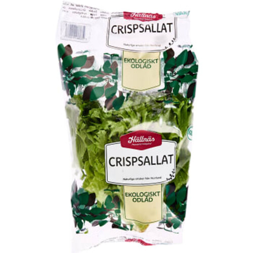 Crispsallad Ekologisk 100g Klass 1 Hällnäs Handelsträdgård