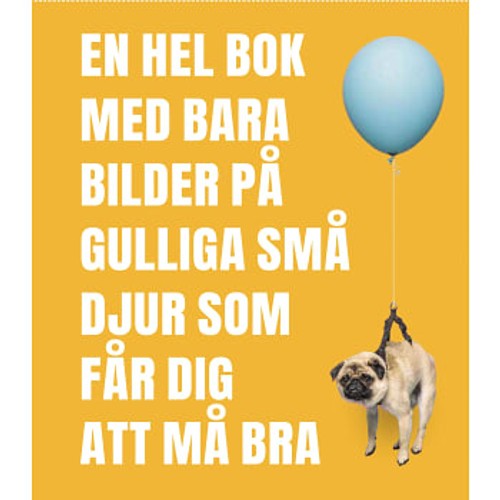 En hel bok med bara bilder på gulliga små djur som får dig att må bra