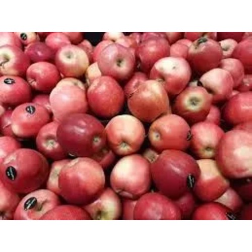 Äpple Royal Gala låda Klass 1 ca 13kg