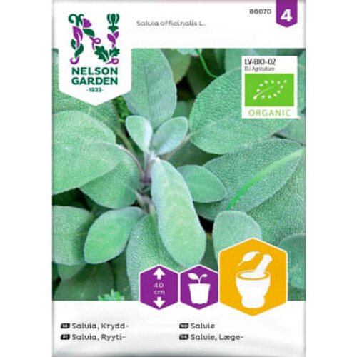 Salvia Krydd Organic 1-p Nelson Garden