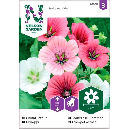 Malva Prakt Blandade färger1-p Nelson Garden