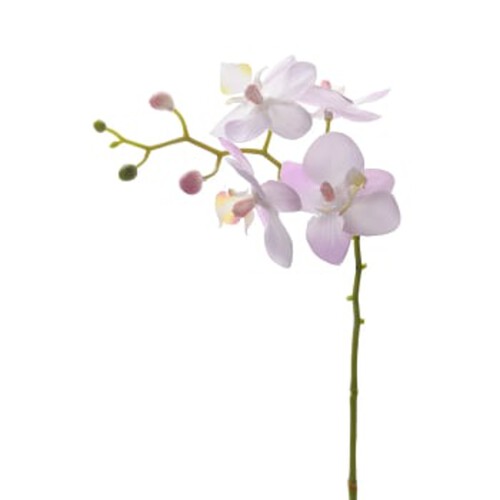 Phalaenopsis 28 cm konstväxt