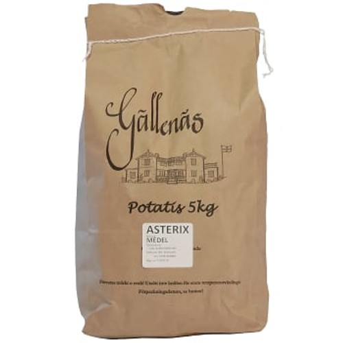 Potatis Fast 5kg