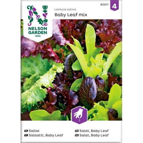 Sallat Baby Leaf mix 1-p Nelson Garden