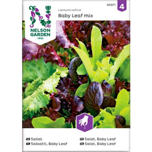 Sallat Baby Leaf mix 1-p Nelson Garden