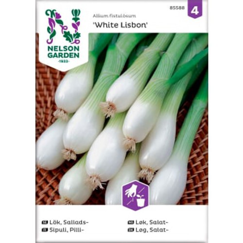 Lök Sallads White Lisbon 1-p Nelson Garden