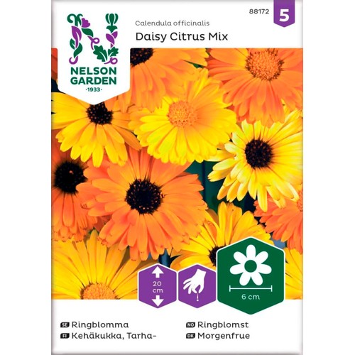 Ringblomma Daisy Citrus Mix 1-p Nelson Garden
