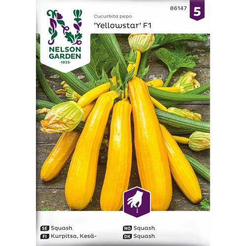 Squash, Yellowstar F1 Nelson Garden