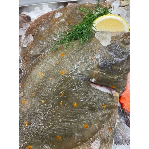 Hel Rödspätta ca 500g