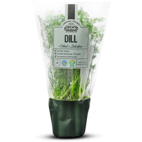 Dill 30g Oh My Greens