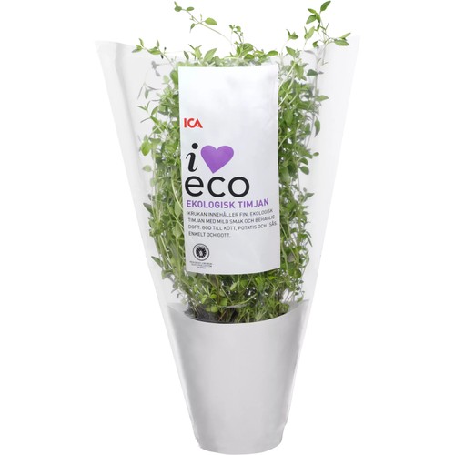 Timjan i kruka Ekologisk 1-p KRAV ICA I love eco