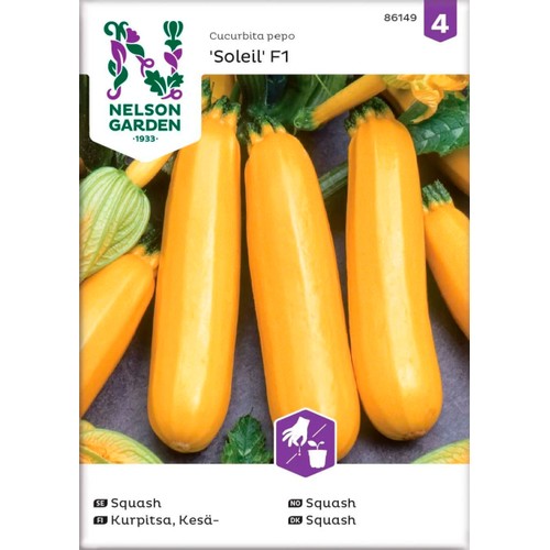 Squash Gold Rush F1 1-p Nelson Garden