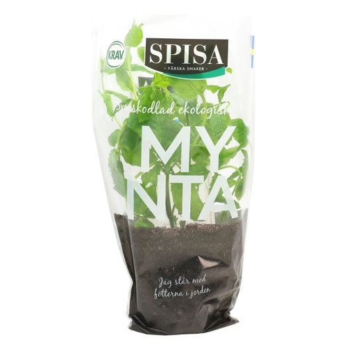 Mynta Ekologisk 200g KRAV Spisa