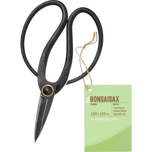 Bonsaisax ICA Garden