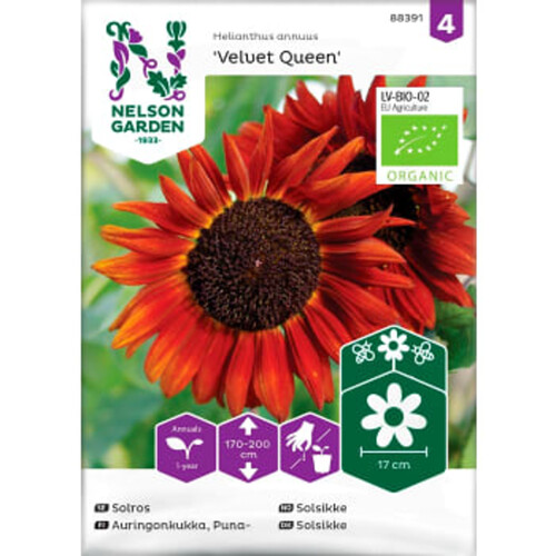 Solros Velvet Queen Organic 1-p Nelson Garden