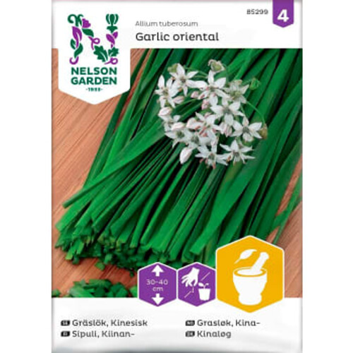 Gräslök Kinesisk Garlic oriental 1-p Nelson Garden