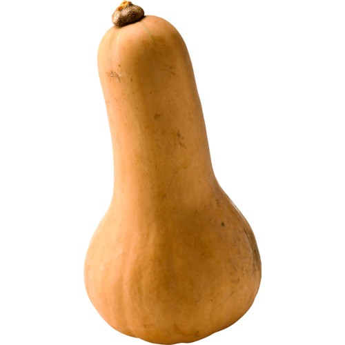 Pumpa Butternut ca 700g Klass 1 ICA