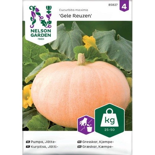 Pumpa, Jätte-, Gele Reuzen Nelson Garden
