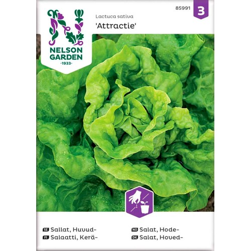 Salla Huvud Attractie 1-p Nelson Garden