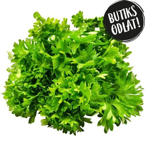 Kruspersilja 40g Butiksodlad