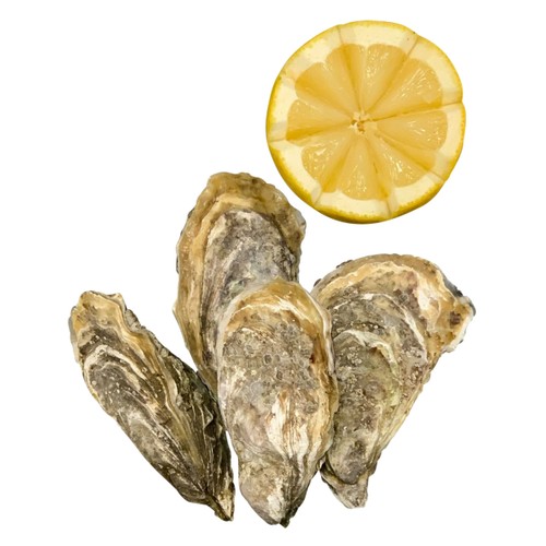 Ostron normandie