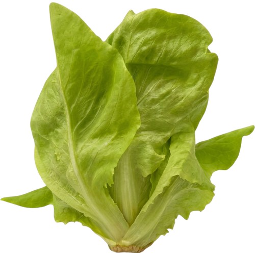 Huvudsallat 150g Svegro